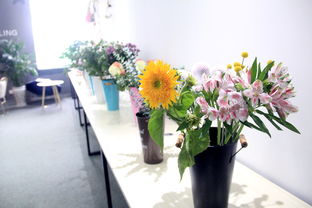 花之初念 产品摄影中花卉的艺术表达