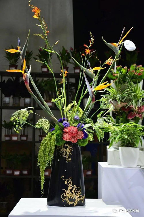 从化特色精品花卉惊艳亮相广州现代农业嘉年华