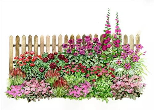 101幅超高清精品手绘花境 一场震撼视觉的纸上繁花盛宴